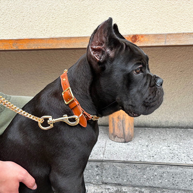 Loudik Wholesale Pet Collar Le - Leather Strap Quick Release 评论和价格